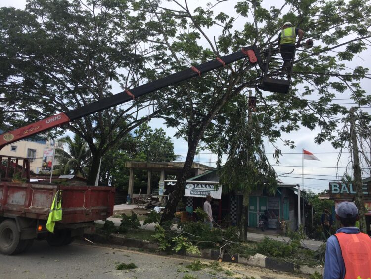 Perawatan Lampu Jalan Jelarai, Petugas DPRKP Pangkas Rimbunan Pohon Pelindung