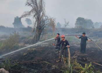 Cuaca Panas-Kering, Dishut Kaltara Ingatkan Warga Waspada Karhutla