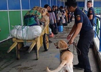 Bea Cukai Kerahkan Anjing K9 Cegah Peredaran Narkoba di Nunukan