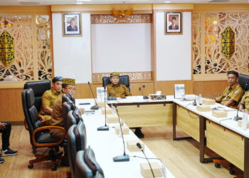 Pemerintah Provinsi (Pemprov) Kalimantan Utara (Kaltara) menyiapkan 59 ekor sapi kurban untuk kebutuhan Hari Raya Iduladha 1447 Hijriah/2026 Masehi. (IST)
