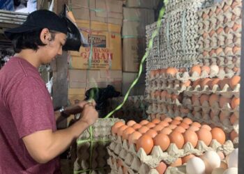 Pesan Cinta dari Pedagang Telur untuk Pak Wali Kota Khairul