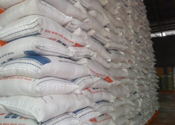 El Nino Penyebab Turunnya Pasokan Beras di Tarakan, hingga Harga Jual Naik