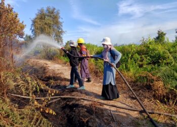 Sepanjang Januari 2024, Ada 6 Kebakaran Lahan di Tarakan, UPTD KPH Ungkap Penyebabnya