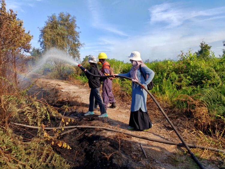 Sepanjang Januari 2024, Ada 6 Kebakaran Lahan di Tarakan, UPTD KPH Ungkap Penyebabnya