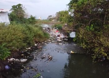 LPA HPPMI Maros Gelar Aksi Bersih Sungai dan Tanam Pohon di Desa Mattirotasi