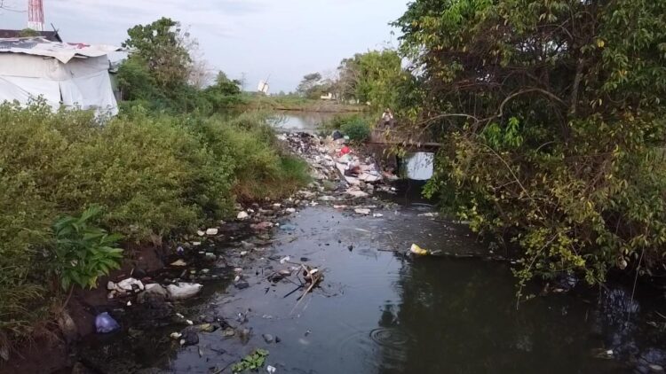 LPA HPPMI Maros Gelar Aksi Bersih Sungai dan Tanam Pohon di Desa Mattirotasi
