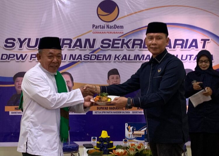 NasDem di Usia 14 Tahun: Refleksi, Target, dan Tantangan 2029