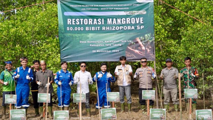 Peringati Hari Pohon Nasional, JOB Simenggaris Tanam 50.000 Mangrove