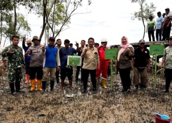 BPDAS Mahakam Berau dan Komisi IV DPR RI Gelar Aksi Penanaman Mangrove di Tarakan