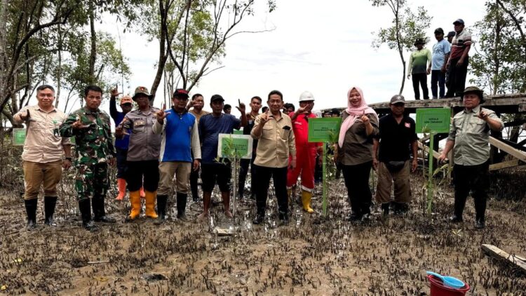 BPDAS Mahakam Berau dan Komisi IV DPR RI Gelar Aksi Penanaman Mangrove di Tarakan