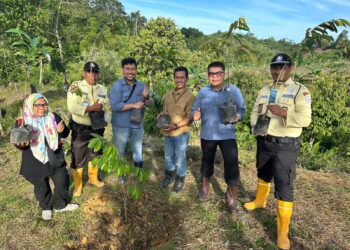 Medco E&P Dukung Ketahanan Pangan Keluarga di Kota Tarakan