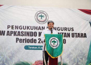 Harga Sawit di Kaltara Ambruk Usai Pidato Prabowo, Petani Mulai Cemas