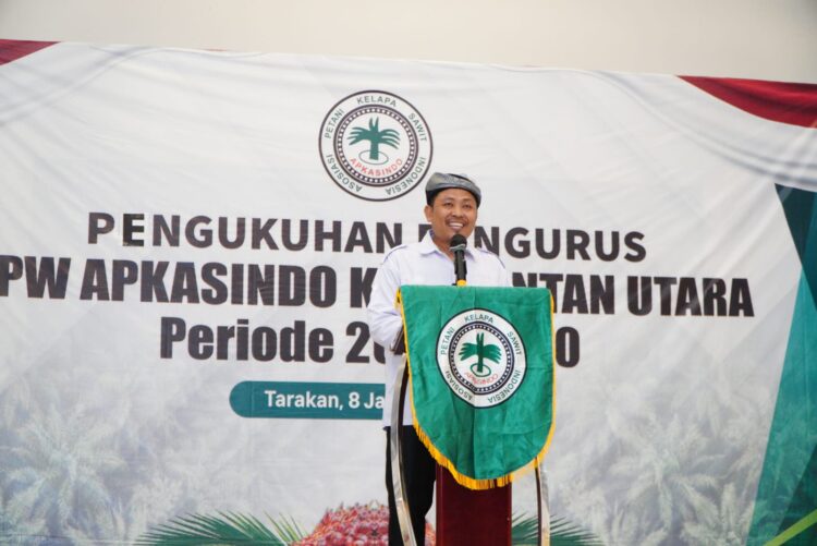 Harga Sawit di Kaltara Ambruk Usai Pidato Prabowo, Petani Mulai Cemas