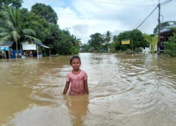 Ilustrasi Banjir