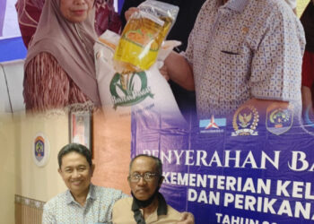 Serangkaian Kegiatan Hasan Saleh di Tarakan, Salurkan Bantuan hingga Dorong Gemar Makan Ikan