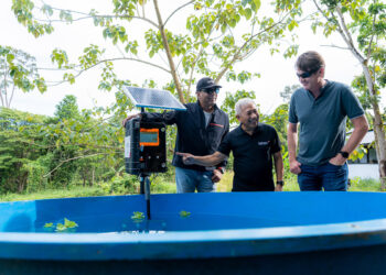 Peduli pada Perubahan Iklim Dunia, Indosat dan GSMA Berkolaborasi dalam Program Digitalisasi ​Konservasi Mangrove di Kalimantan Utara
