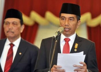 Jokowi Tolong Pecat Luhut Segera, Kalau Tidak Indonesia Taruhannya