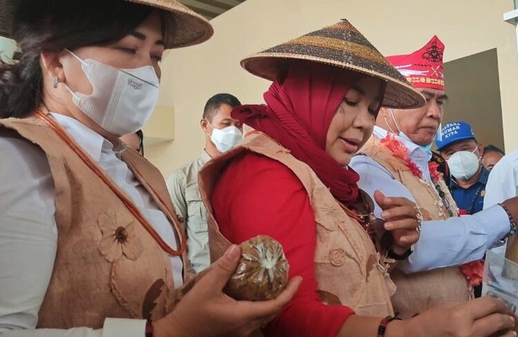 Ketua PKK Kaltara Rahmawati saat mengunjungi pusat kerajinan tangan
