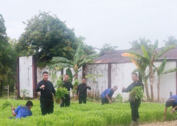 Lapas Tarakan Libatkan Warga Binaan Dukung Program Ketahanan Pangan Nasional