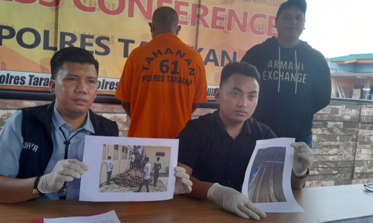 Kasus Illegal Logging Kembali Dibongkar Polisi, 144 Batang Kayu Olahan Jadi Barang Bukti