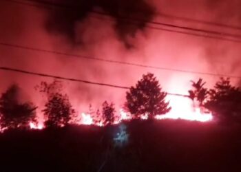 Lahan Hampir Dua Hektar di Amal Lama Terbakar