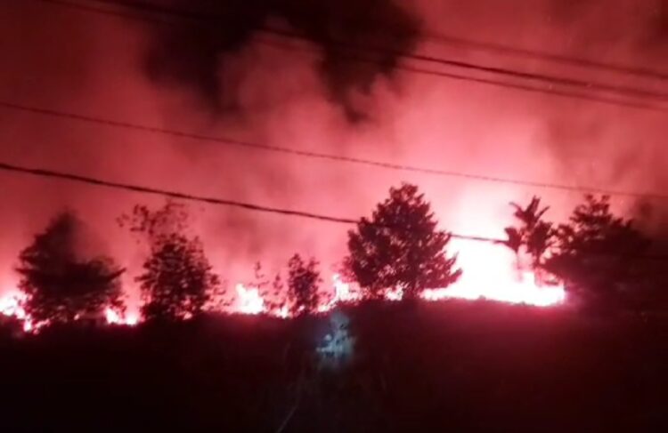 Lahan Hampir Dua Hektar di Amal Lama Terbakar