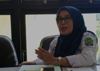 Dinkes Nunukan Dorong Desa-Desa Bentuk Kampung KB, ini Targetnya