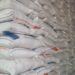 Distribusi Beras Bulog Sempat Ditunda, Ternyata ini Penyebabnya