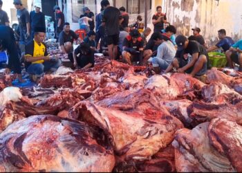 Kurban 41 Ekor Sapi, PAC LDII Karang Anyar Bagikan 1.550 Kupon untuk Warga Tarakan