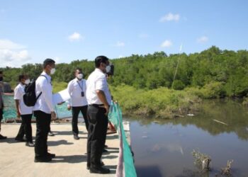 Menko Kemaritiman dan Investasi Luhut Binsar Pandjaitan (paling depan) meninjau lokasi Mangrove Tahura, Bali, untuk penyelenggaraan KTT G20 November 2022 di Bali, Jumat (6/5/2022).