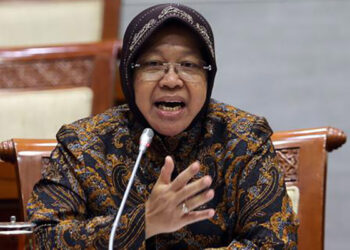 Menteri Sosial Tri Rismaharini