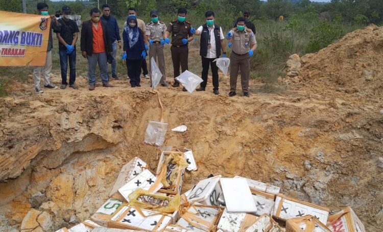 Ternyata ini Alasan Polisi Musnahkan 42 Boks Ikan Layang