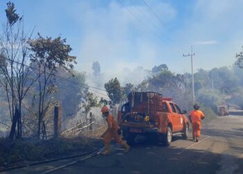 Siaga Cuaca Panas Ekstrim hingga Cegah Karhutla, BPBD Tarakan Tegaskan Hal ini