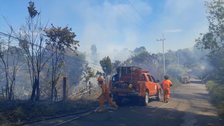 Siaga Cuaca Panas Ekstrim hingga Cegah Karhutla, BPBD Tarakan Tegaskan Hal ini