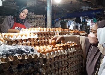 Melonjak! Masuk Pertengahan Bulan Puasa Harga Telur Ayam Mahal, Omset Pedagang Turun