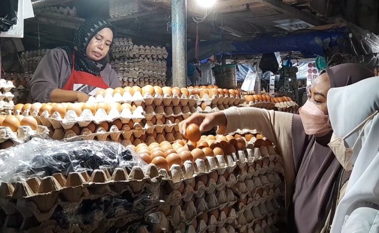Melonjak! Masuk Pertengahan Bulan Puasa Harga Telur Ayam Mahal, Omset Pedagang Turun