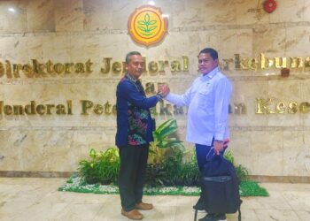 Plt Ketua APKASINDO Kaltara Sebut Penetapan Harga TBS Sawit Dilaksanakan Awal Agustus 2023