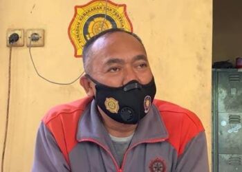 Kawanan Monyet Liar Resahkan Warga Jalan Hasanuddin Kota Tarakan