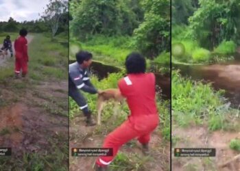 Akhirnya! 3 Pelaku Pelempar Anjing ke Buaya di Sembakung Jadi Tersangka