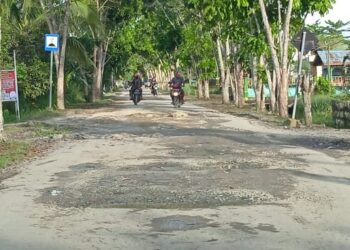 Banyak Jalan Rusak di Selimau, Seorang Emak Kerap Terjatuh saat Antar Anaknya