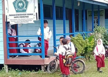 Memprihatinkan, Jalan Menuju Madrasah Ibtidaiyah Negeri Tanjung Palas Utara