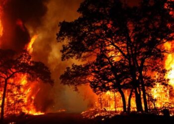 Ngeri! Sepanjang Tahun 2022, Bencana Alam Ini Mendominasi di Tarakan