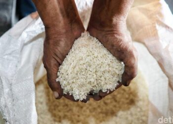 Indonesia Kacau Balau! Impor Beras Ratusan Ribu Ton, Janjimu Palsu Jokowi?