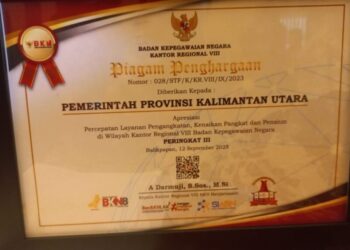 Piagam penghargaan dari BKN