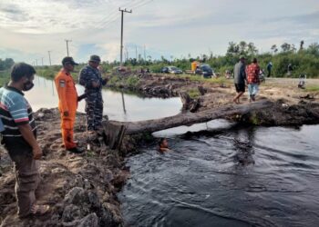 Pencarian Korban Diterkam Buaya Dihentikan, Setelah Tujuh Hari Tak Membuahkan Hasil