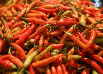 Pedas Bos! Kaltara Melesat dengan Cabai Rawit di tengah Anjloknya Provinsi Lain