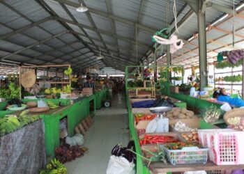 Jelang Ramadan, DPKP Kaltara Sebut Stok Pangan Tergolong Aman