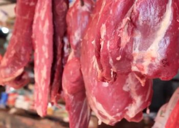 Lagi-lagi Tarakan Kebobolan Daging Ilegal, Balai Karantina Ingatkan Penyakit Ngeri Ini