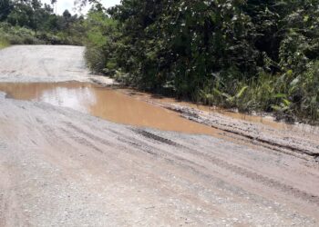 Kades Kelubir Berharap Perbaikan Jalan Lintas Desa