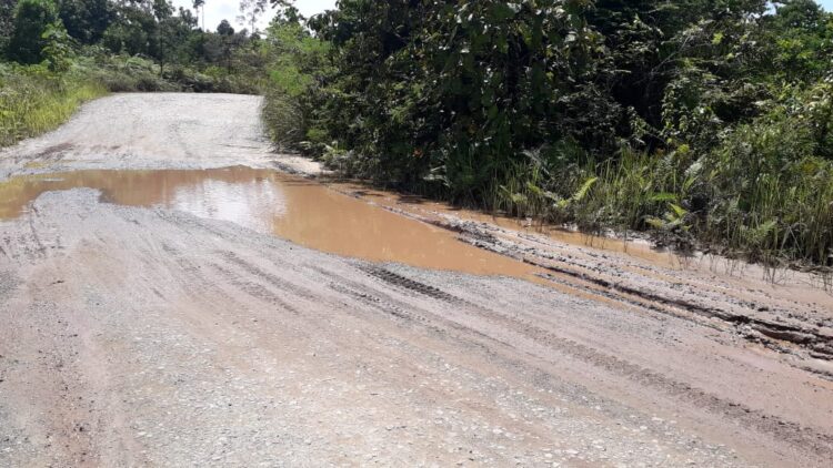 Kades Kelubir Berharap Perbaikan Jalan Lintas Desa